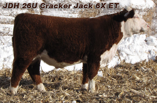 JDH 26U Cracker Jack 6X ET