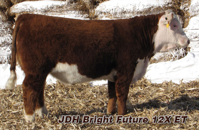 JDH Bright Future 12X ET