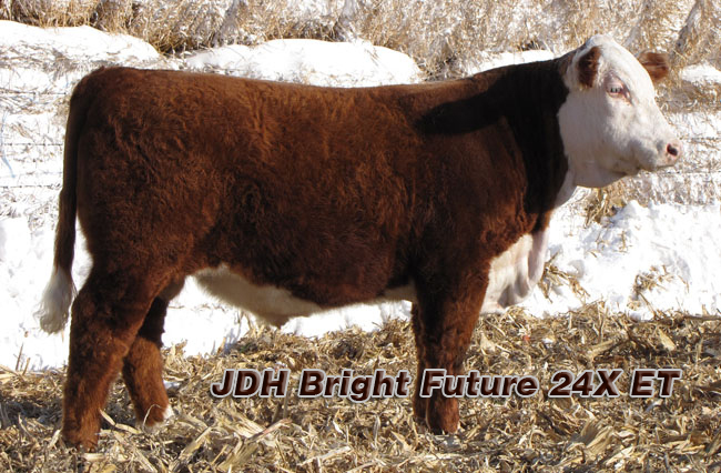 JDH Bright Future 24X ET