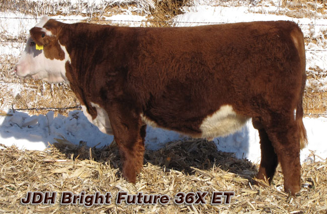 JDH Bright Future 36X ET