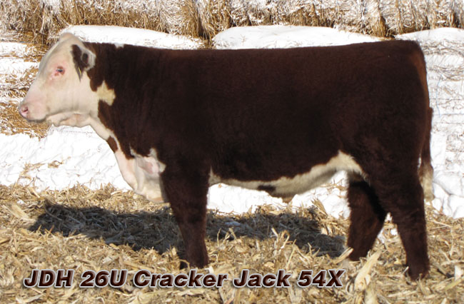 JDH 26U Cracker Jack 54X